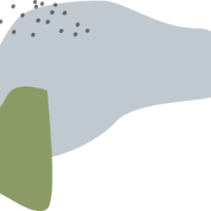 demo-attachment-169-grey-green-group-2
